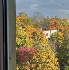 Аренда 1-комн квартиры на вторичном рынке проспект Космонавтов, 32К2