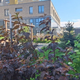 Продажа 3-комн квартиры на вторичном рынке шоссе Революции,  д. 3 к2 с1