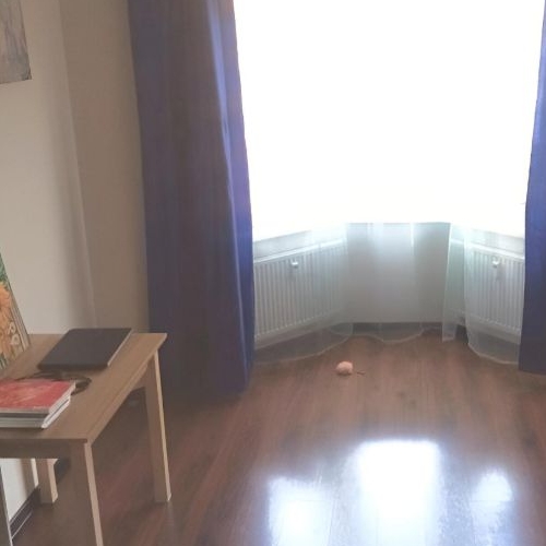 1-комн квартира проспект Ветеранов, 173к7