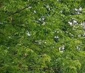 Продать Квартиры вторичка Сергиев Посад, Вознесенская улица, 80   