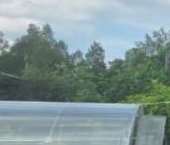 Продать Дачи, коттеджи, загородные дома Новинка садоводческий массив, София СНТ   