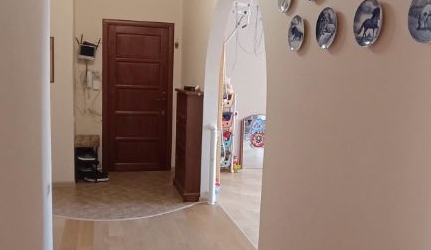 3-комн квартира Пушкин, улица Вячеслава Шишкова, 28к1