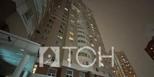 2-комн квартира Пушкино, Чехова ул, 1к3