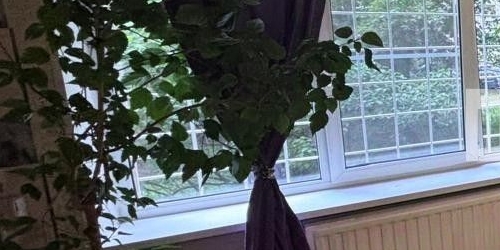 2-комн квартира Бестужевская улица, 81