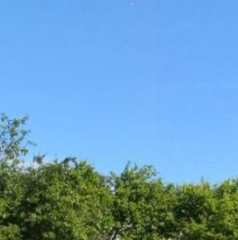 Продажа земли д. Сиголово, проезд Архитектурный Продажа земли д. Сиголово, проезд Архитектурный