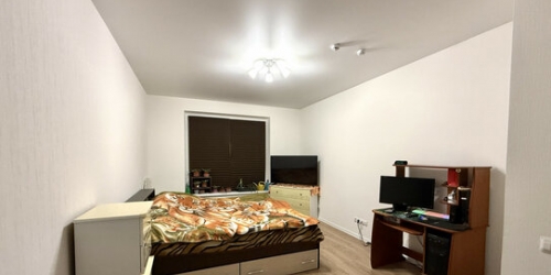1-комн квартира Зеленый пр-кт,  д. 103
