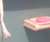 Продать Квартиры вторичка д. Жельцы, 11   