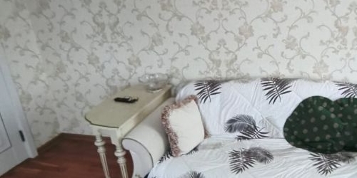 2-комн квартира Пушкин, Оранжерейная улица, 15