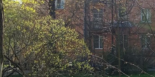 2-комн квартира улица Седова, 97К7