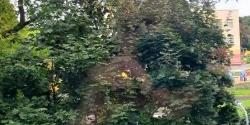 3-комн квартира Приозерск, улица Калинина, 23а