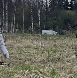 Продажа земли Живой Ручей кп, 343 Продажа земли Живой Ручей кп, 343