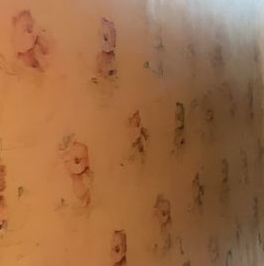 Аренда комнаты 5-я Советская улица, 24/13 Аренда комнаты 5-я Советская улица, 24/13