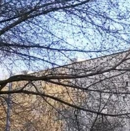 Продажа 3-комн квартиры на вторичном рынке Шипиловский проезд, 43К3