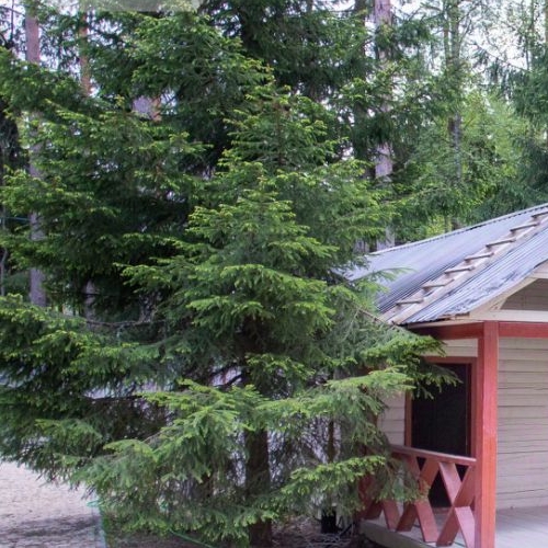 Коттедж/дом Зеленогорск, переулок Героев, 6