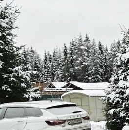 Продажа дома д. Нижние Осельки, 1А Продажа дома д. Нижние Осельки, 1А