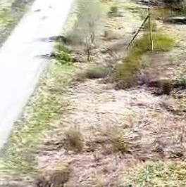 Продажа земли д. Лопино, 9