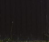 Продать Земельные участки, земля Алгоритм-1 Массива Федоровское ДНП, д. Глинка   