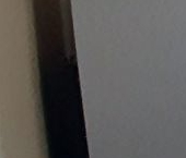 Сдать в аренду Квартиры вторичка Ленинский проспект, 114   