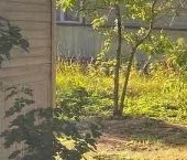 Продать Дачи, коттеджи, загородные дома Восход садоводческий массив, Петрокрепость СНТ, 14-я линия, 274   