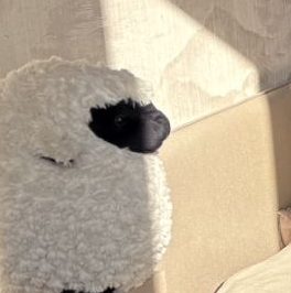 Продажа 2-комн квартиры на вторичном рынке Нахабино пгт, улица Королева, 2