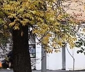 Сдать в аренду Квартиры вторичка улица Шухова, 8   