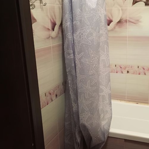 Студия пос. Шушары, Школьная улица, 17