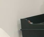 Сдать в аренду Квартиры вторичка Ленинградский проспект, 29к3   