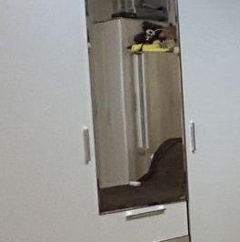 Продажа 2-комн квартиры на вторичном рынке улица Полбина, 36