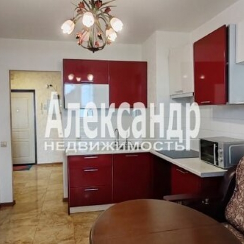 1-комн квартира Кушелевская дор