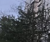 Продать Квартиры вторичка Мытищи, Новомытищинский проспект, 1к2   