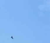 Продать Квартиры вторичка Коммунар г., улица Славянская, 11   