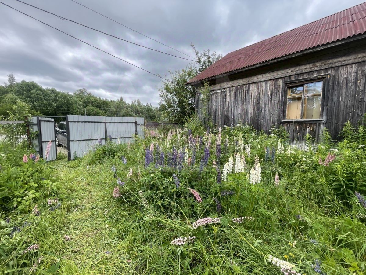 Продажа дома пос. Владимировка, улица Лесная, 1