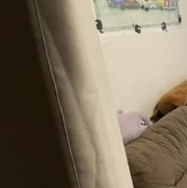 Продажа студии аллея Поликарпова, 1