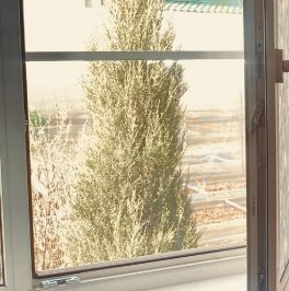 Продажа дома Коммунар г., улица Весенняя Продажа дома Коммунар г., улица Весенняя