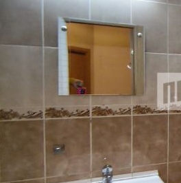 Аренда 1-комн квартиры на вторичном рынке пос. Шушары, Первомайская улица, 5к1