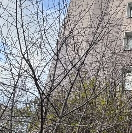 Продажа 3-комн квартиры на вторичном рынке Большая Черемушкинская улица, 7