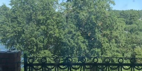 Коттедж/дом Красное Село, проспект Красных Командиров, 50