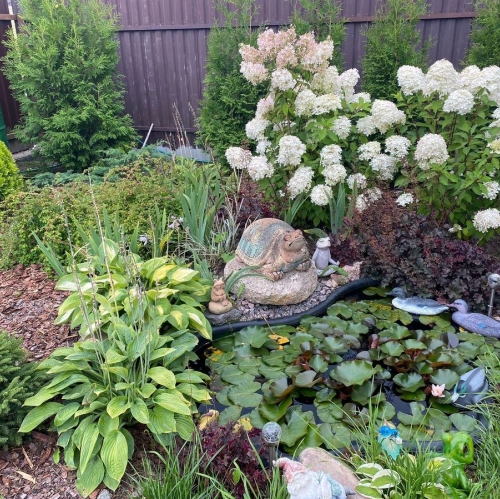 Коттедж/дом Сойкино, Дачная улица,  д. 10