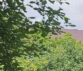 Продать Земельные участки, земля д. Юкки, улица Школьная, 8   