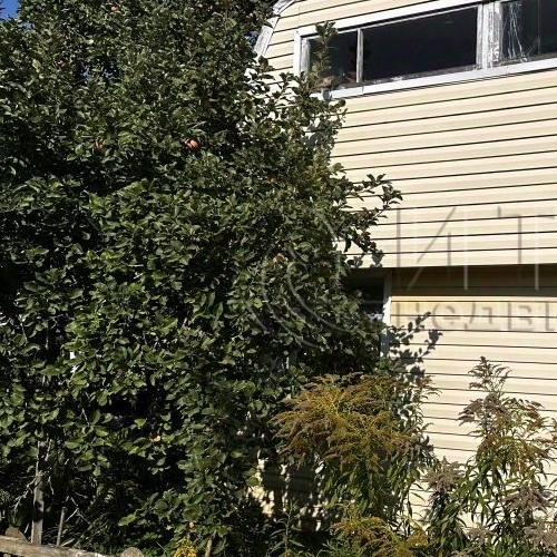 Коттедж/дом Волхов, Восход СНТ, улица Грушевая, 223