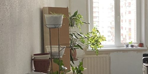 3-комн квартира улица Репищева, 21К1