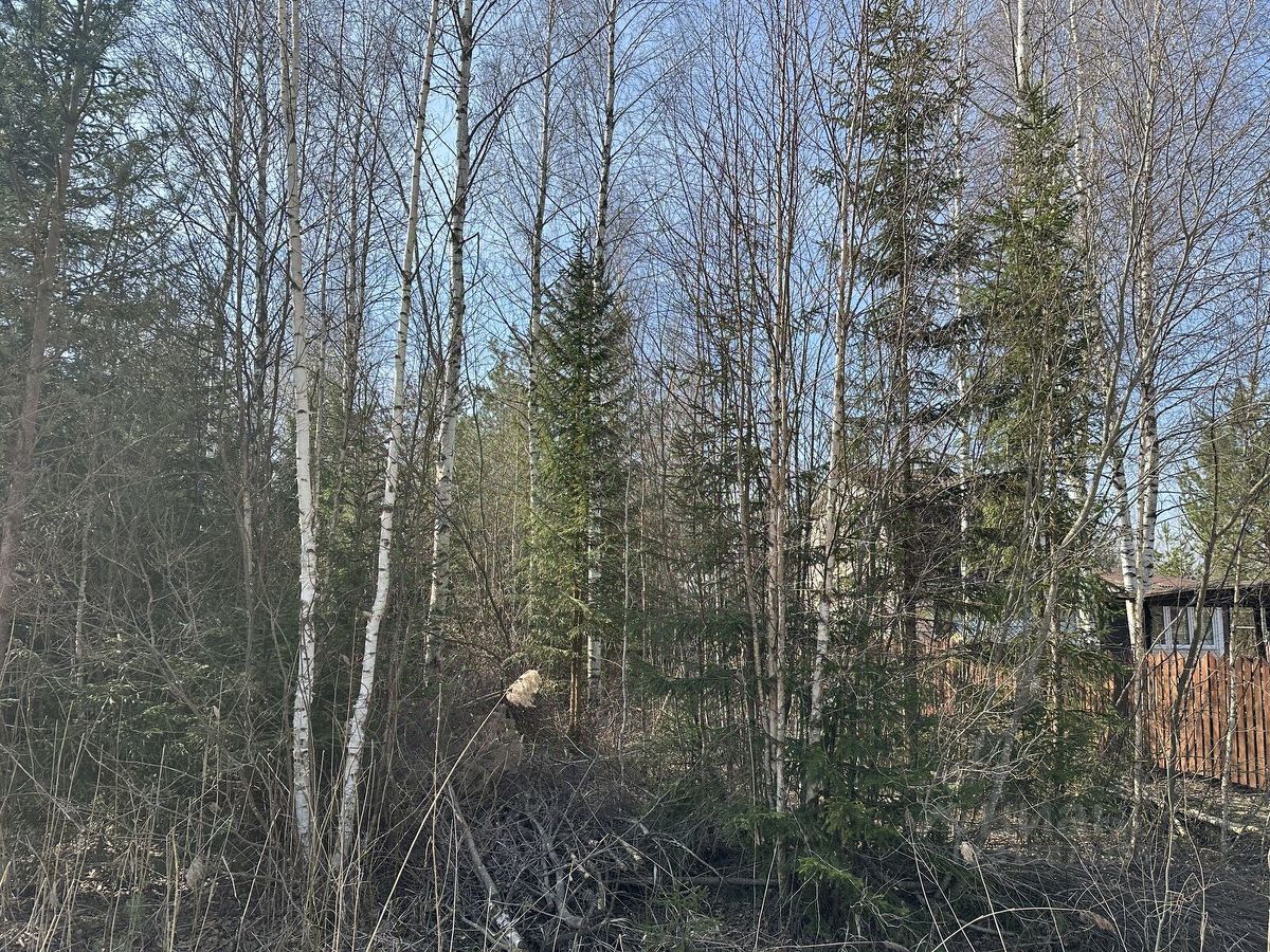 Продажа земли Михайловское СНТ, аллея Лебяжья