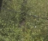 Продать Квартиры вторичка Новосибирская улица, 6К1   