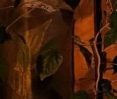 Продать Квартиры вторичка Наличная улица, 15   