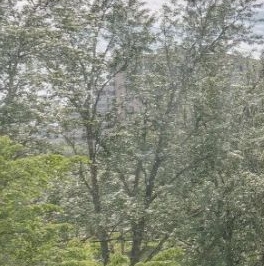 Продажа 4-комн квартиры на вторичном рынке улица Белы Куна, 15к4 Продажа 4-комн квартиры на вторичном рынке улица Белы Куна, 15к4