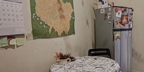 4-комн квартира переулок Гривцова, 13/11