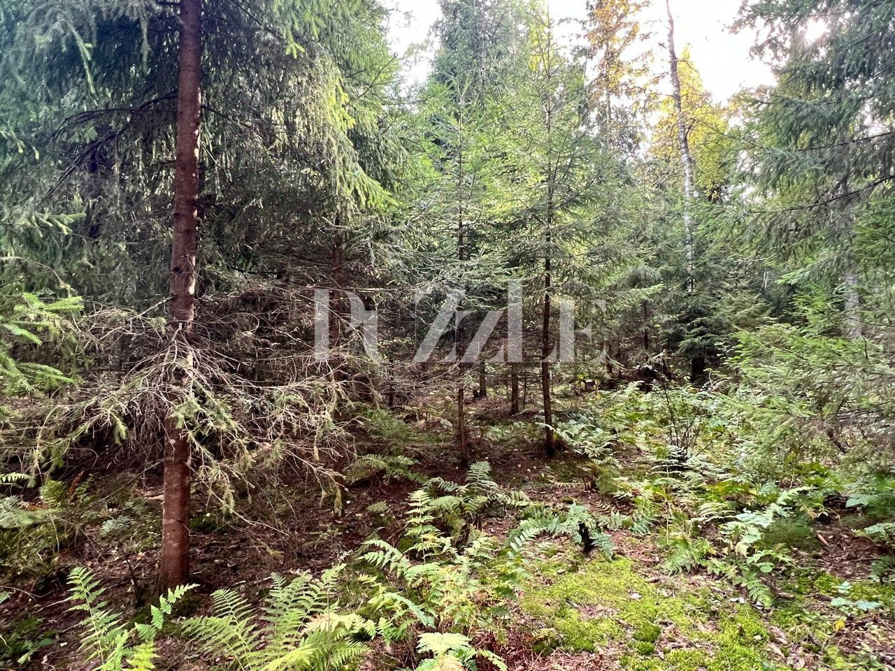 Продажа земли Сосны кп, улица Береговая,  д. 4к2
