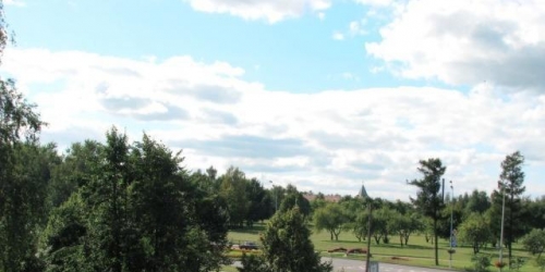 Коттедж/дом Петербургское ш