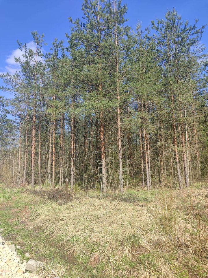 Продажа земли Дружная Горка городской поселок, улица Пограничная