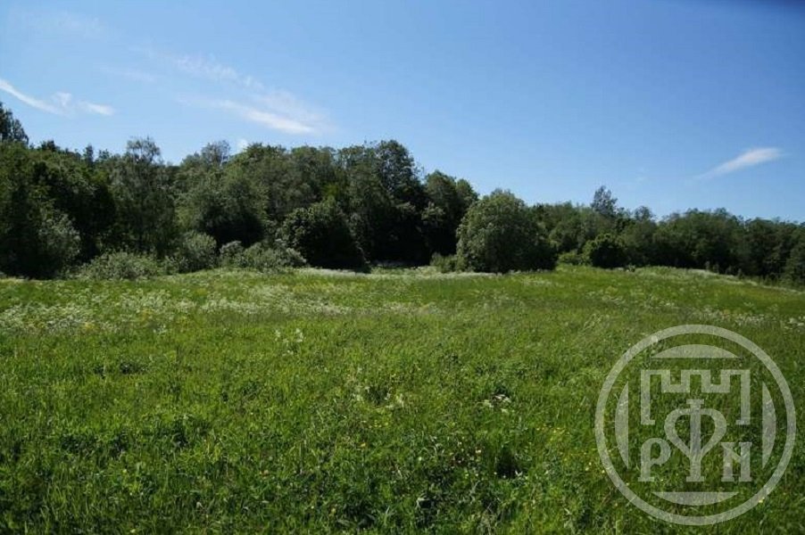 Продажа земли Лопухинка дер.